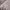 https://res.cloudinary.com/billionhands/image/upload/v1775017764/items/xw1lueyjhd70cievneiv.webp-1cover