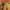 https://res.cloudinary.com/billionhands/image/upload/v1775017896/items/hnnq50agokgh0xooanbm.jpg-0cover