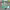 https://res.cloudinary.com/billionhands/image/upload/v1775018249/items/gtobvkdugnjm9pry76xk.webp-2cover
