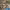 https://res.cloudinary.com/billionhands/image/upload/v1775018309/items/cufjsbcn519sdx4lodvs.jpg-0cover