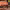 https://res.cloudinary.com/billionhands/image/upload/v1775018315/items/w0jwdgsofjoizddphqpa.jpg-0cover