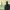 https://res.cloudinary.com/billionhands/image/upload/v1775018386/items/mgfhho9ozps0rlkigrqf.jpg-2cover