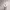 https://res.cloudinary.com/billionhands/image/upload/v1775018421/items/qhf84dh14g8fwtge3yon.avif-0cover