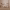 https://res.cloudinary.com/billionhands/image/upload/v1775018423/items/cckvsm7lmhfqztcljz9m.webp-3cover