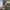 https://res.cloudinary.com/billionhands/image/upload/v1775018929/items/ghxiamxdqnwwl6ekqr6v.jpg-1cover