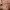 https://res.cloudinary.com/billionhands/image/upload/v1775019827/items/qvsyzovxx7qtlmnhsgmx.avif-0cover