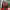 https://res.cloudinary.com/billionhands/image/upload/v1775019828/items/cgdmtqz4f7feszaxeqn6.jpg-1cover