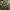 Discurso del Rey Juan Carlos I tras el intento de golpe de Estado del 23-F (Cobertura televisiva) cover