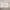 https://res.cloudinary.com/billionhands/image/upload/v1775020110/items/qprfq4wtyd1dvrkuzbvy.jpg-0cover