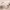 https://res.cloudinary.com/billionhands/image/upload/v1775020192/items/gjzcyn0u4tf27bc2bn5c.webp-1cover