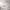 https://res.cloudinary.com/billionhands/image/upload/v1775020294/items/kywjrypf6bftqavbbzkc.webp-1cover