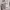 https://res.cloudinary.com/billionhands/image/upload/v1775021135/items/e0ilim3auo60upkanqri.webp-3cover