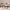 https://res.cloudinary.com/billionhands/image/upload/v1775021145/items/qka3hb0uhojrbczsylfq.jpg-0cover