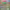 https://res.cloudinary.com/billionhands/image/upload/v1775021213/items/xcizp9nrajfhqvzlalny.jpg-0cover