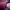 https://res.cloudinary.com/billionhands/image/upload/v1775021715/items/guxkv8fnseknfl7pwcph.jpg-2cover