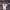 https://res.cloudinary.com/billionhands/image/upload/v1775022354/items/mbv6ydcosrfya5vo0224.jpg-2cover