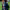 https://res.cloudinary.com/billionhands/image/upload/v1775022367/items/pnz0uapoo9vmzdvqste9.jpg-2cover