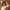 https://res.cloudinary.com/billionhands/image/upload/v1775022528/items/zvu0ct4pjujsjoddpzux.jpg-1cover