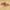 https://res.cloudinary.com/billionhands/image/upload/v1775022533/items/ohgicfkjemrlfxwhsqk3.jpg-2cover