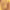 https://res.cloudinary.com/billionhands/image/upload/v1775022535/items/xrl7wthaonlg1t1yo3wx.jpg-3cover