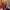 https://res.cloudinary.com/billionhands/image/upload/v1775022806/items/unaahsl2m8sbkayfqxa8.avif-0cover