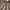https://res.cloudinary.com/billionhands/image/upload/v1775023081/items/zkef542vxjbx4apcg8sf.jpg-0cover