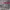 https://res.cloudinary.com/billionhands/image/upload/v1775023087/items/fvhp1ox9ewuu3jlpl0lt.webp-3cover