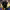 https://res.cloudinary.com/billionhands/image/upload/v1775023238/items/izmplvhkywekrp1ypwqd.webp-3cover