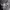 https://res.cloudinary.com/billionhands/image/upload/v1775023268/items/eozbtwad0qc5bcc1uovc.jpg-2cover