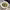 https://res.cloudinary.com/billionhands/image/upload/v1775023272/items/lcwznag5kpwmwwfvv38o.jpg-3cover