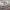 https://res.cloudinary.com/billionhands/image/upload/v1775023364/items/jnmfq3qz7gkdslbytyau.jpg-2cover