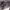 https://res.cloudinary.com/billionhands/image/upload/v1775023434/items/fryqfbr6dgfw5osb4vzz.jpg-0cover