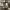 https://res.cloudinary.com/billionhands/image/upload/v1775023442/items/zfog42xt0dlxsvubap6g.webp-1cover