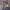 https://res.cloudinary.com/billionhands/image/upload/v1775023487/items/yu9eh3fwpyd4nvjglrwy.jpg-3cover