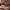 https://res.cloudinary.com/billionhands/image/upload/v1775023518/items/unxxexeny0bgv6fcvcus.jpg-2cover