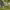 https://res.cloudinary.com/billionhands/image/upload/v1775023614/items/pwc3bhwkccuxdgxmnxt7.jpg-0cover