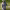 https://res.cloudinary.com/billionhands/image/upload/v1775023618/items/ootvmtlprspdpmfd6c3y.webp-0cover