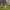 https://res.cloudinary.com/billionhands/image/upload/v1775023619/items/k9yaeiciz8zoxhdgo2cm.jpg-3cover