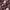 https://res.cloudinary.com/billionhands/image/upload/v1775023735/items/wly49nbxdbipcvgtmnsr.jpg-3cover