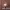 https://res.cloudinary.com/billionhands/image/upload/v1775023836/items/g5jz4vre9sj73mi8mhk7.jpg-2cover