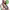 https://res.cloudinary.com/billionhands/image/upload/v1775023925/items/l24rwkwhnfweljzma2ic.webp-3cover