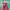 https://res.cloudinary.com/billionhands/image/upload/v1775024092/items/deps2rkb4shfkdixkqhh.jpg-1cover