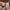 https://res.cloudinary.com/billionhands/image/upload/v1775024347/items/otznsybydze9hdp4hnnv.png-2cover