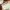 Viva Day Spa + Med Spa Gift Certificates (Austin & Dallas, TX) cover