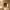 https://res.cloudinary.com/billionhands/image/upload/v1775024969/items/qr1gxninlrfmriyvoy8l.jpg-0cover