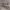 https://res.cloudinary.com/billionhands/image/upload/v1775024970/items/hrpbejyzfnp0irlcstmm.jpg-1cover