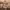 https://res.cloudinary.com/billionhands/image/upload/v1775024971/items/sfu3euk6vman0lv9zbtb.jpg-2cover