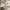https://res.cloudinary.com/billionhands/image/upload/v1775024974/items/eevhgln30kmyvc3firgv.jpg-1cover