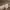 https://res.cloudinary.com/billionhands/image/upload/v1775024975/items/ht6nj4l812qnenasz7xv.jpg-2cover