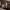 https://res.cloudinary.com/billionhands/image/upload/v1775024975/items/ycoskfvp8nzoophrrriw.jpg-3cover